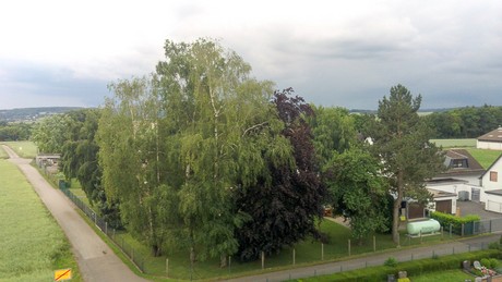 Holzheim
