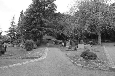 Holzlar