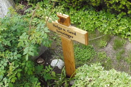 Holzlar