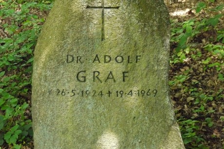 Holzlar
