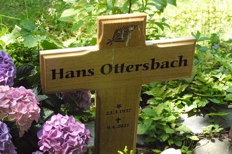 Holzlar