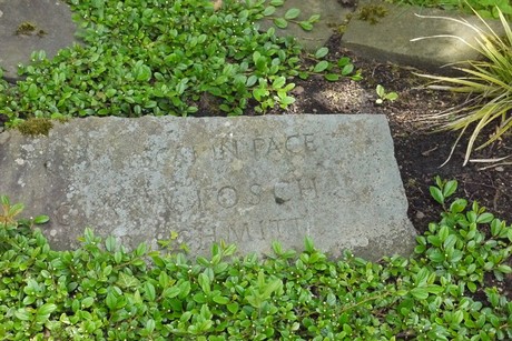 Holzlar