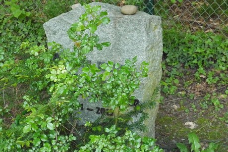 Holzlar