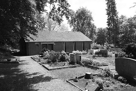 Holzlar