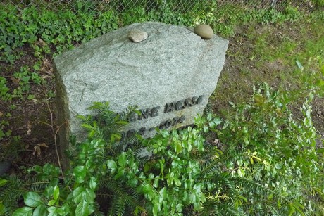 Holzlar