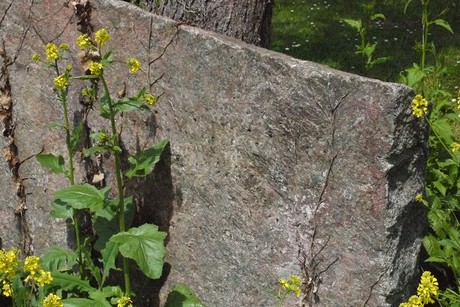 Holzlar