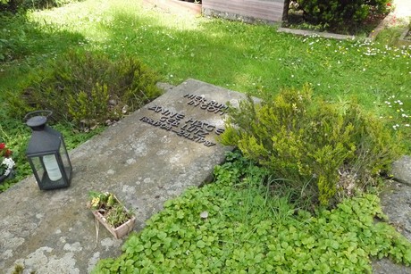Holzlar