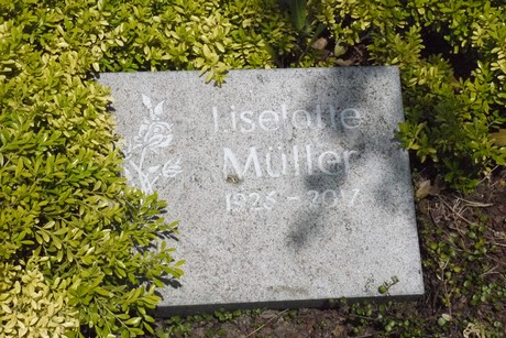 Holzlar
