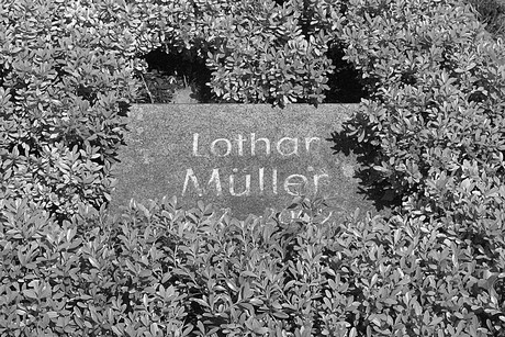 Holzlar