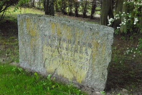 Holzlar