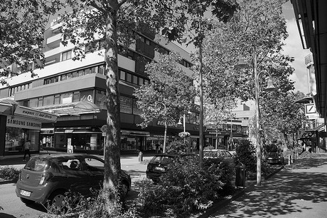 Homburg