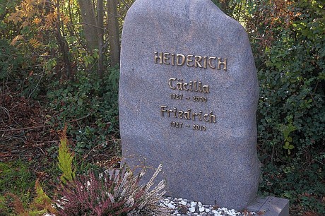 Hoven