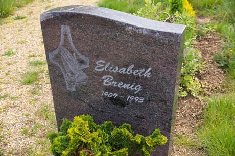 Hoven