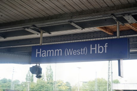Hamm