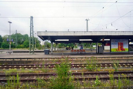 Hamm
