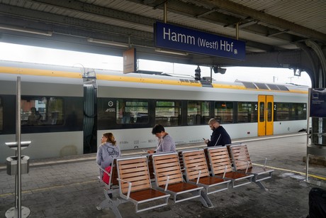 Hamm