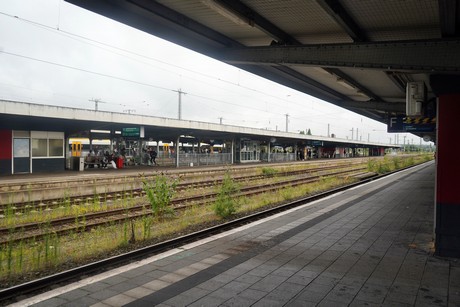 Hamm
