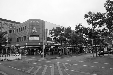 Hamm