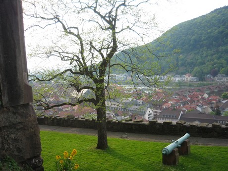 heidelberg