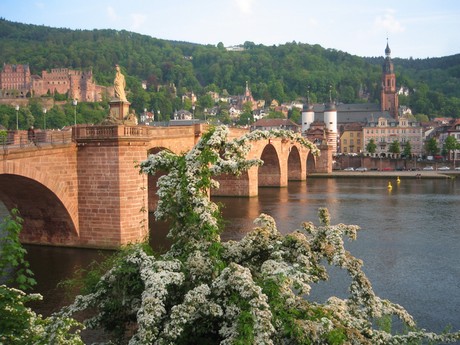 heidelberg