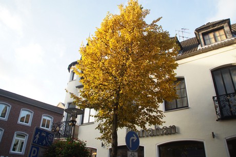 heinsberg