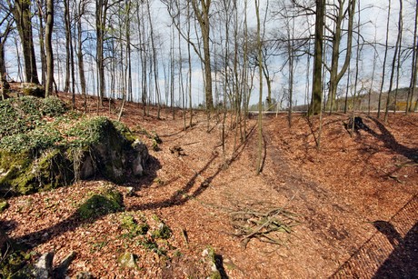 landesgartenschau