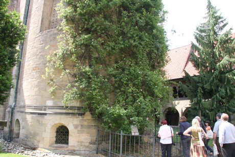 hildesheim-dom