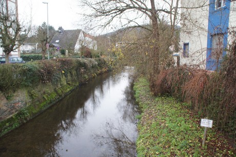 Hofheim