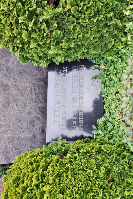 friedhof