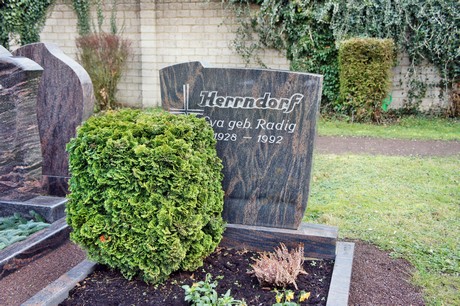 friedhof
