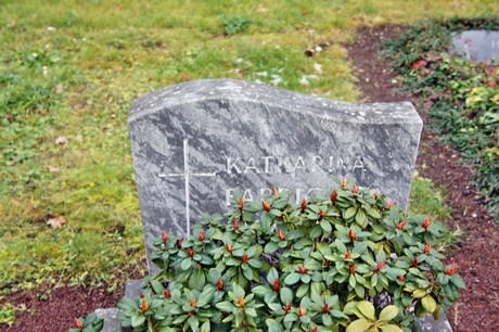 friedhof