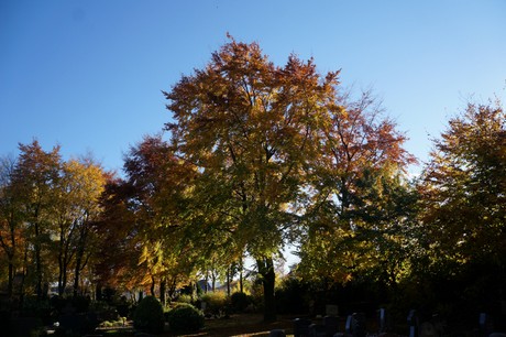 huertgen
