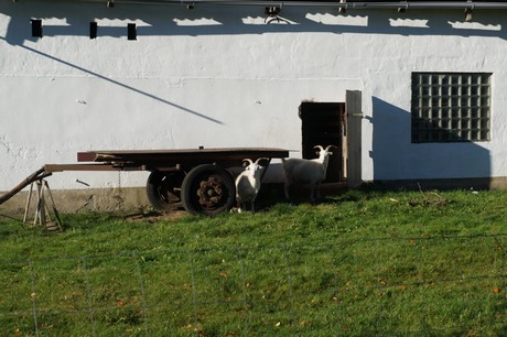 huertgen