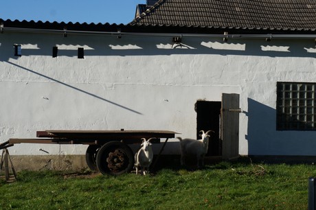 huertgen