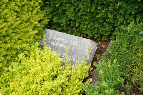 friedhof