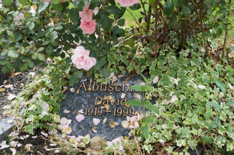 friedhof