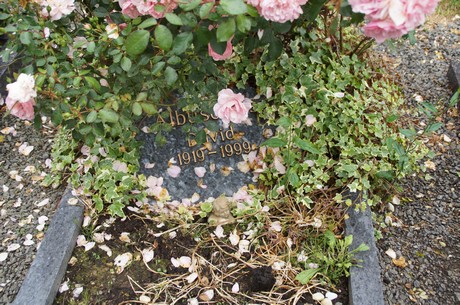 friedhof