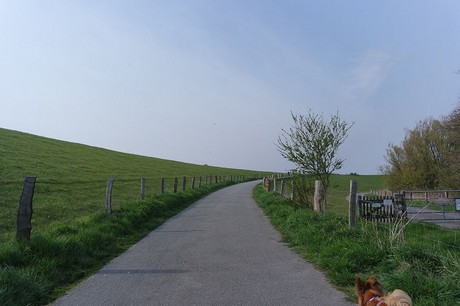 husum