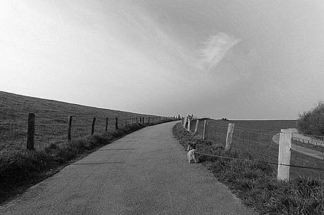 husum