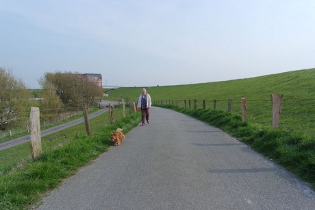 husum