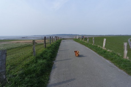 husum