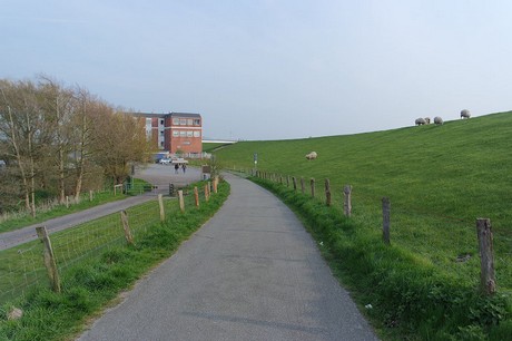 husum