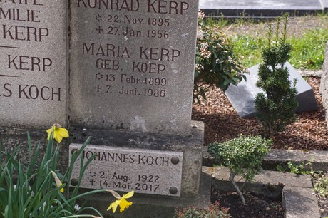 Ippendorf