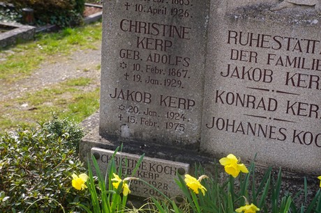 Ippendorf