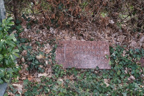 Ippendorf