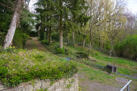 Ippendorf