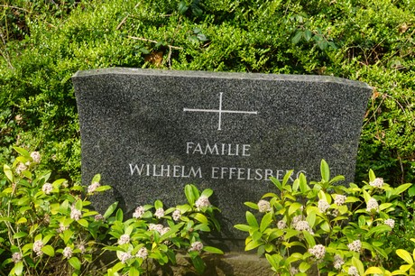 Ippendorf