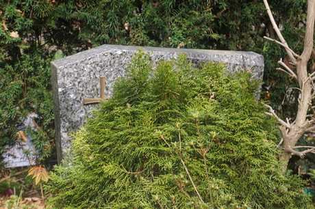 Ippendorf