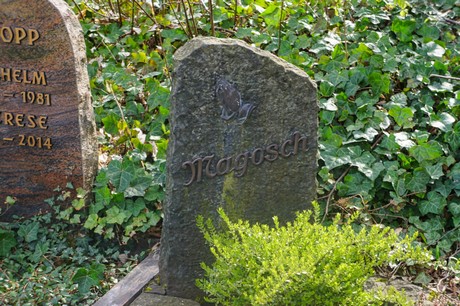 Ippendorf