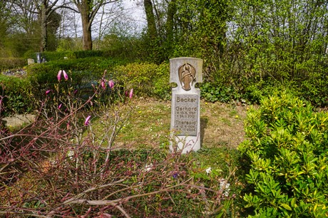 Ippendorf